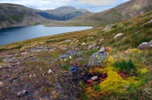 Cairngorms National Park, Scotland