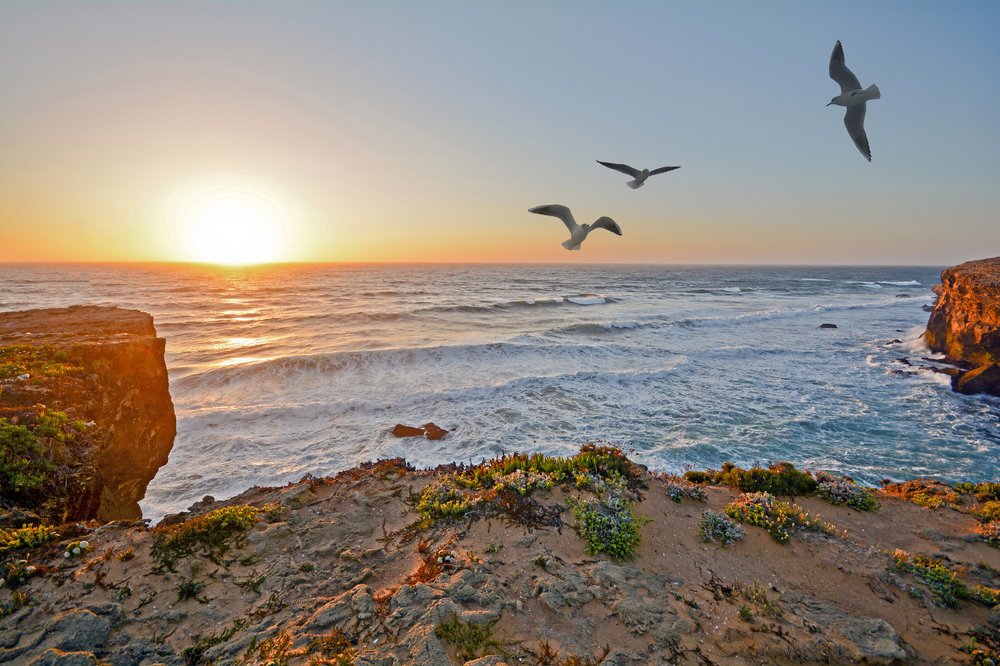 Praia da Amoreira.jpeg