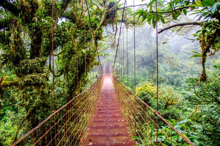 Monteverde.jpg