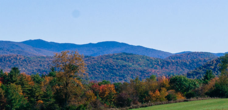 Green Mountains of Vermont.jpg