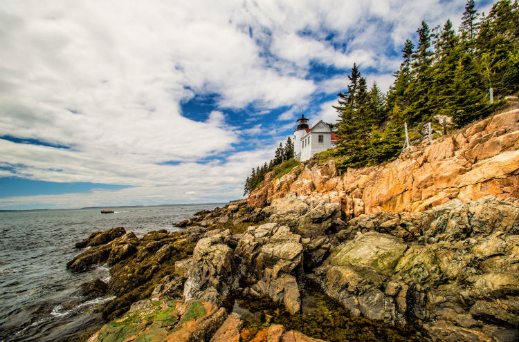 Acadia National Park.jpg