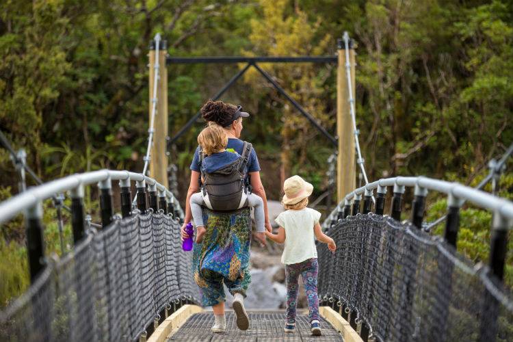 Suspension Bridge New Zealand.jpg