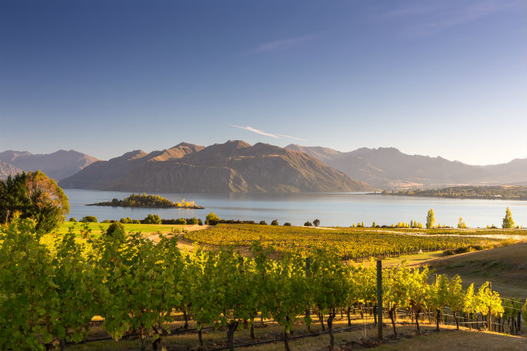 Lake Wanaka Otago New Zealand.jpg