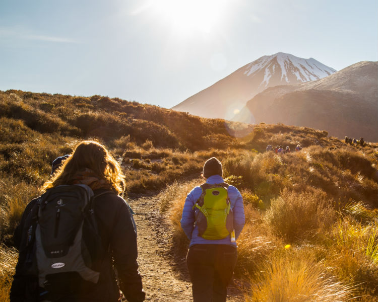 Tongariro crossing New Zealand.jpg