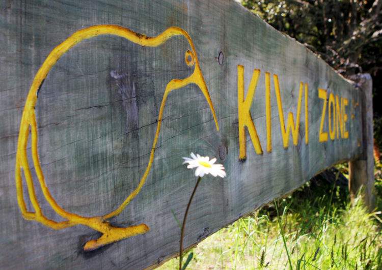Kiwi zone sign.jpg