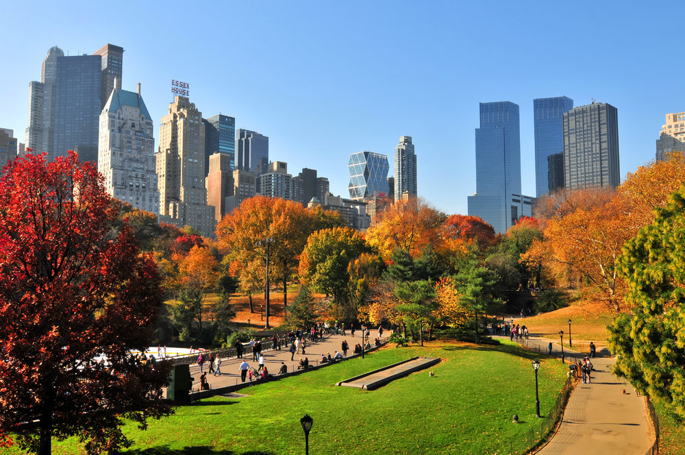 Autumn in the Central Park & NYC.jpeg