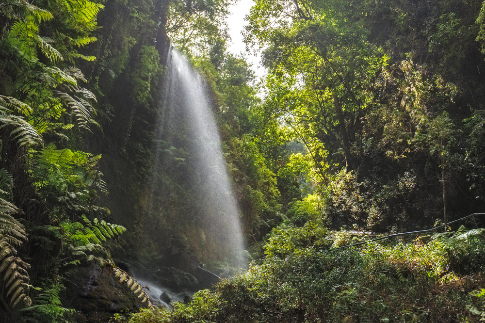 Los Tilos Waterfall in La Palma.jpeg
