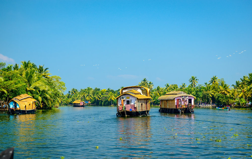 Kerala, India.jpeg