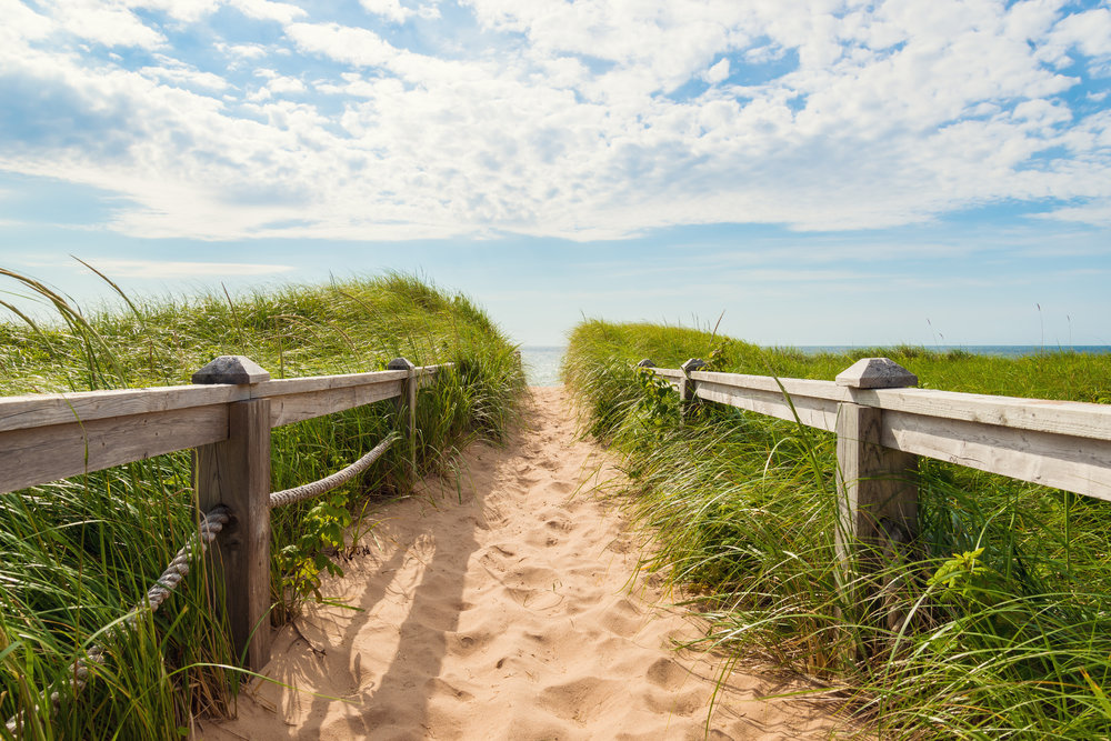 A path made of sand, lined with long green grass, that leads onto Basin Bay in Prince Edward Island