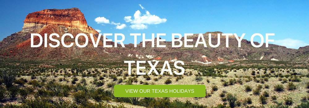 A banner that says "Discover the Beauty of Texas"