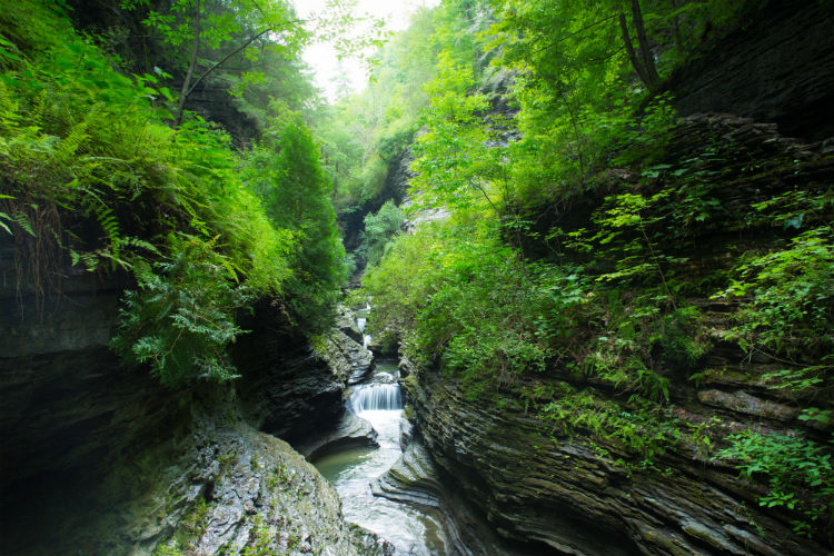 Watkins Glen State Park New York.jpg