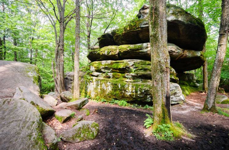 Allegany State Park.jpg