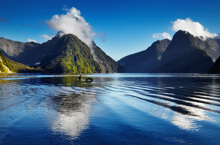 Milford Sound.jpg