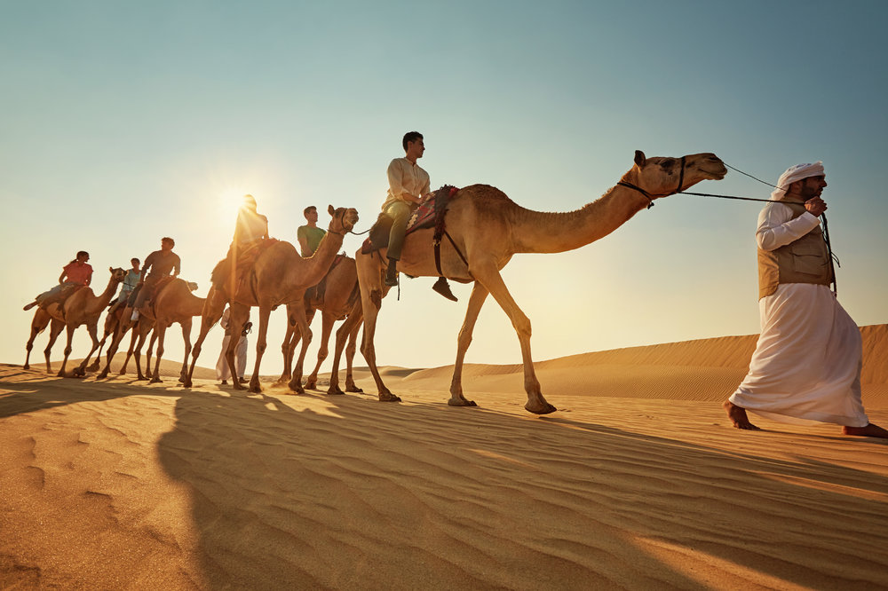 Camel ride in Abu Dhabi desert. 