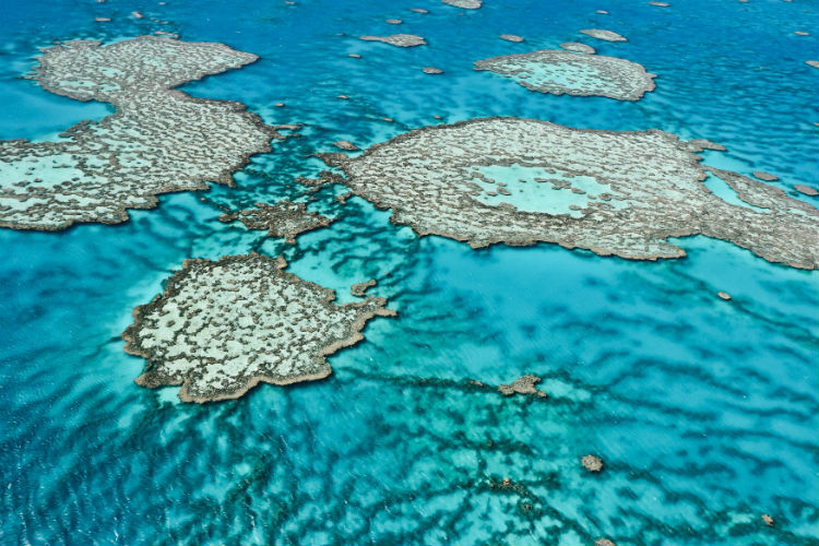 Great barrier reef from the sky