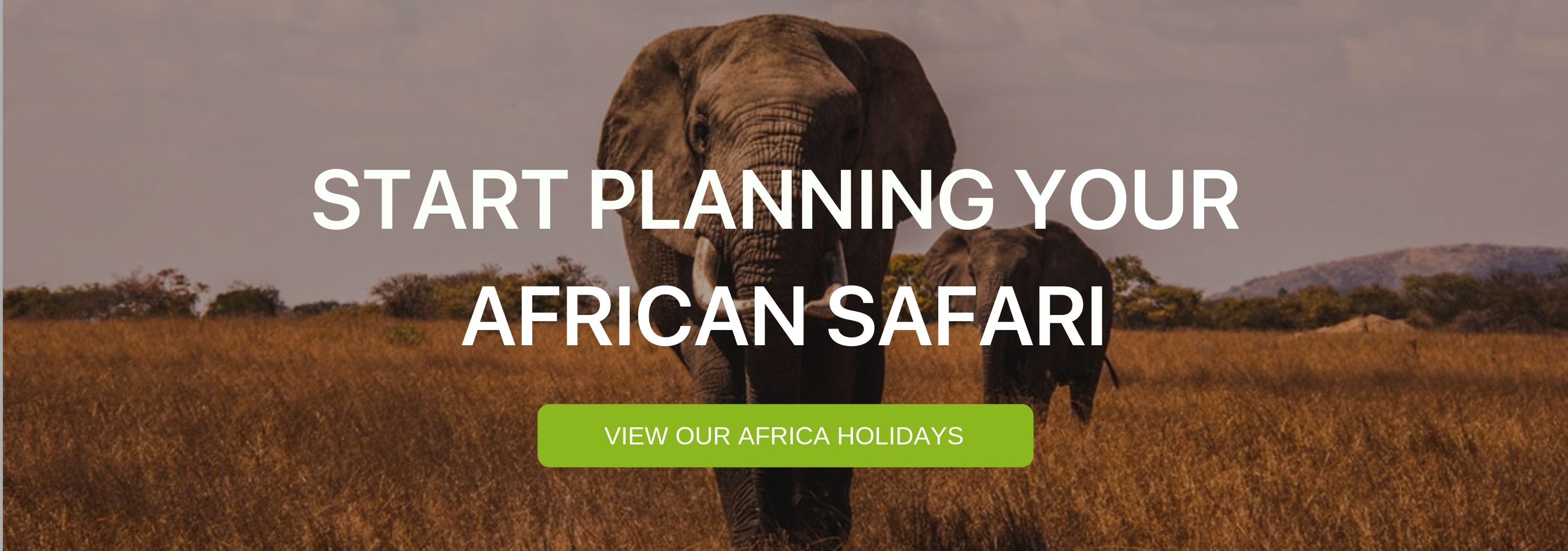 A banner that says "Start Planning your African Safari"