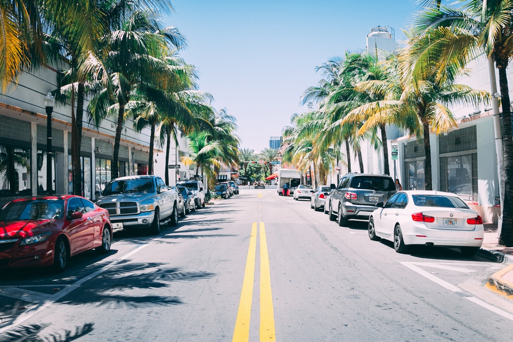 A sunny road in Florida lined by cars and palm trees