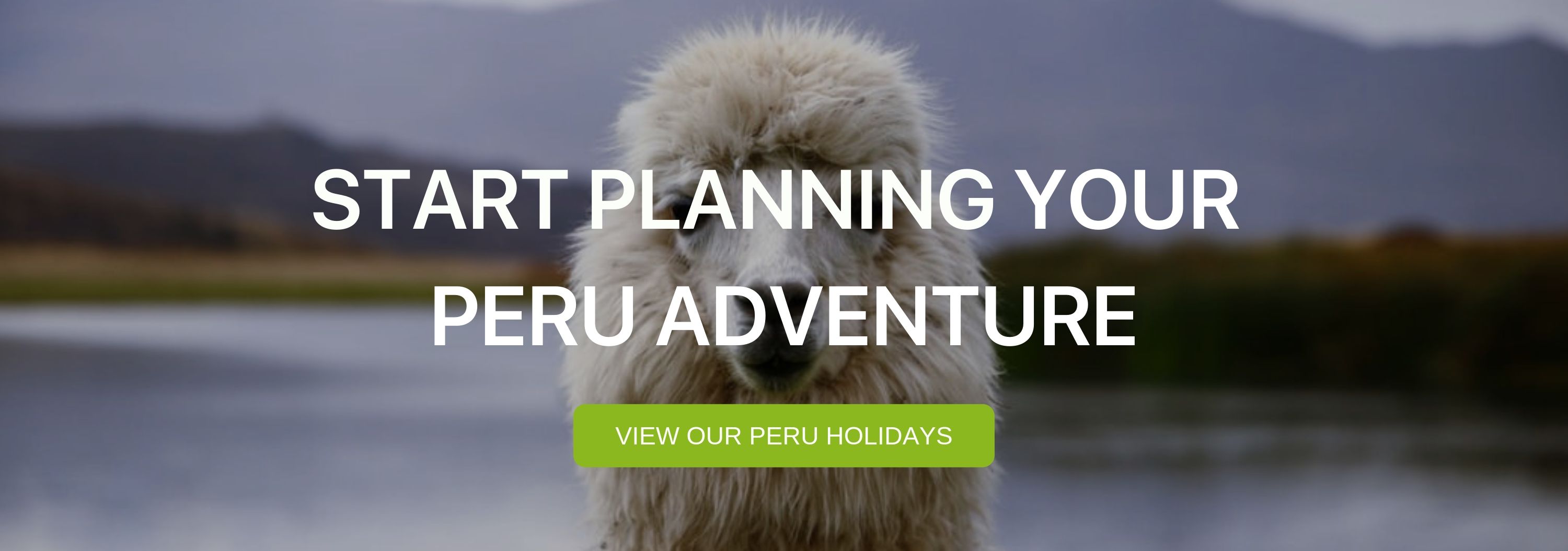 A banner that reads "Start Planning your Peru Adventure" with a llama in the background. 