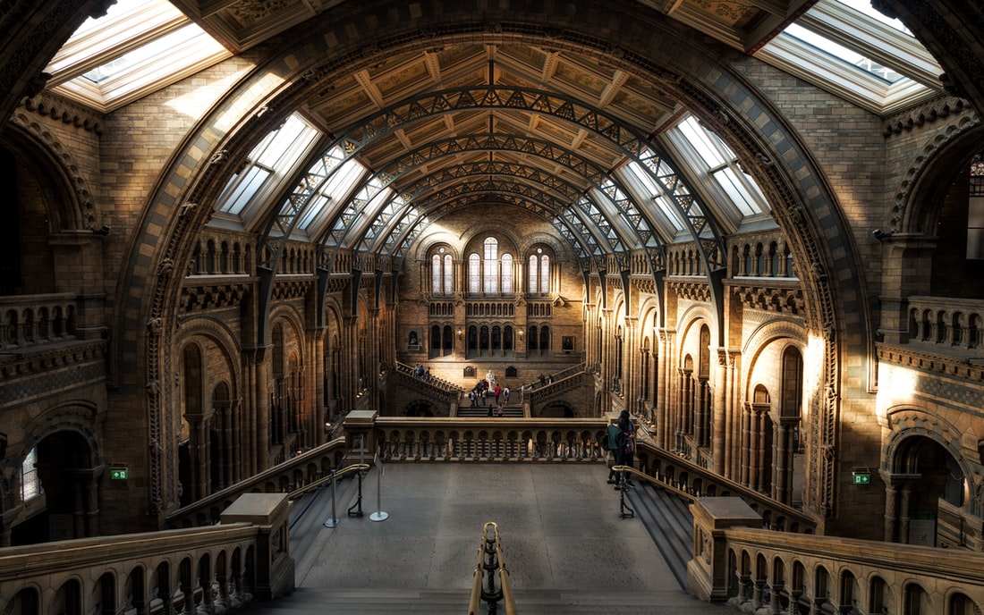 The Natural History Museum in London. 