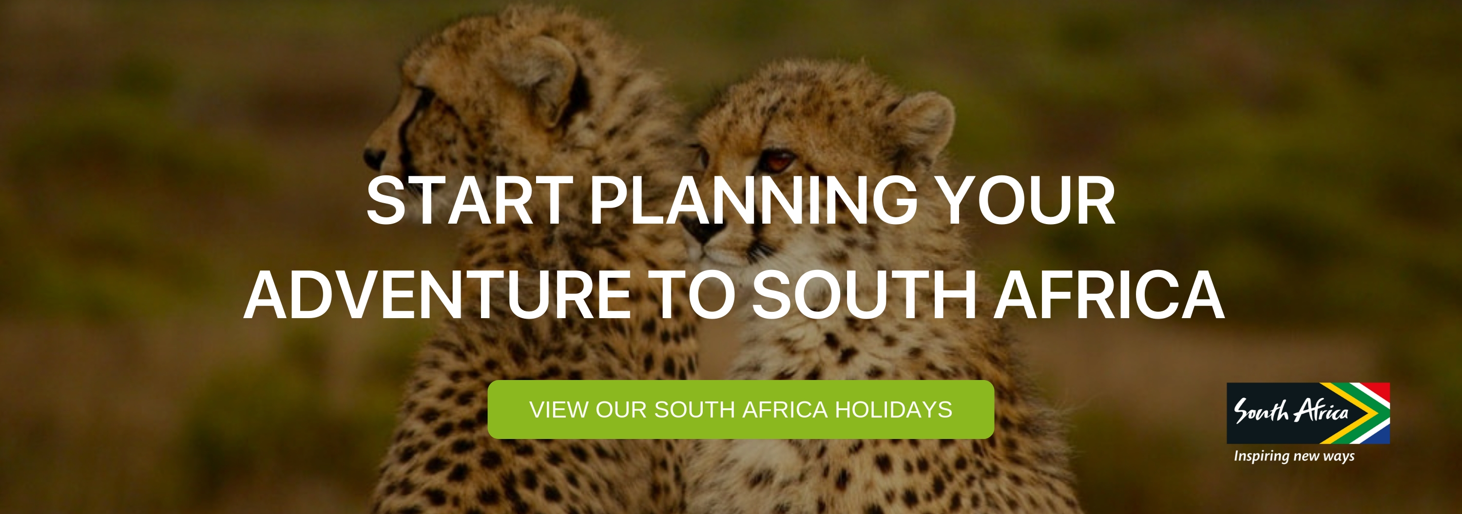 A banner that says "Start Planning your Adventure to South Africa"