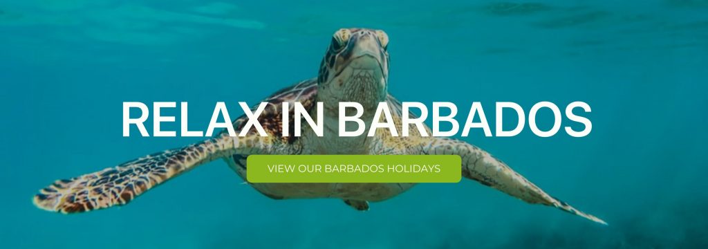 A banner that reads "Relax in Barbados"