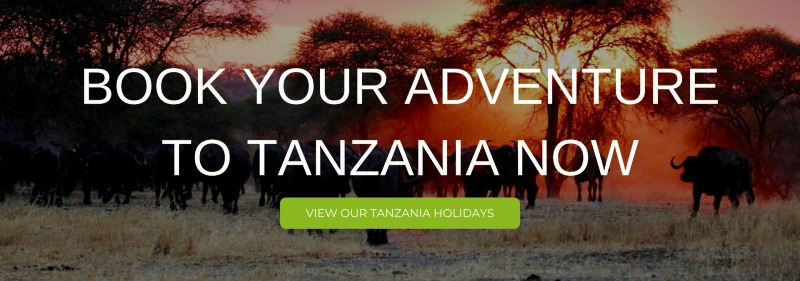 A banner that says "Book your Adventure to Tanzania now"