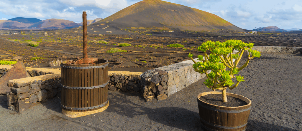 View of vineyards in La Geria region of Lanzarote island, Spain